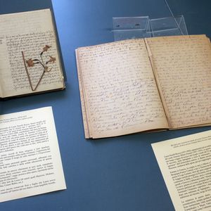 A sinistra: DIARIO DA GIOVANE DI LAURA NASALLI ROCCA, 1874-1875 A destra: RICORDI DEL VIAGGIO DI NOZZE DI LAURA NASALLI ROCCA, 1880 (ASAN, Archivio privato Famiglia Milesi Ferretti, registri sciolti)
